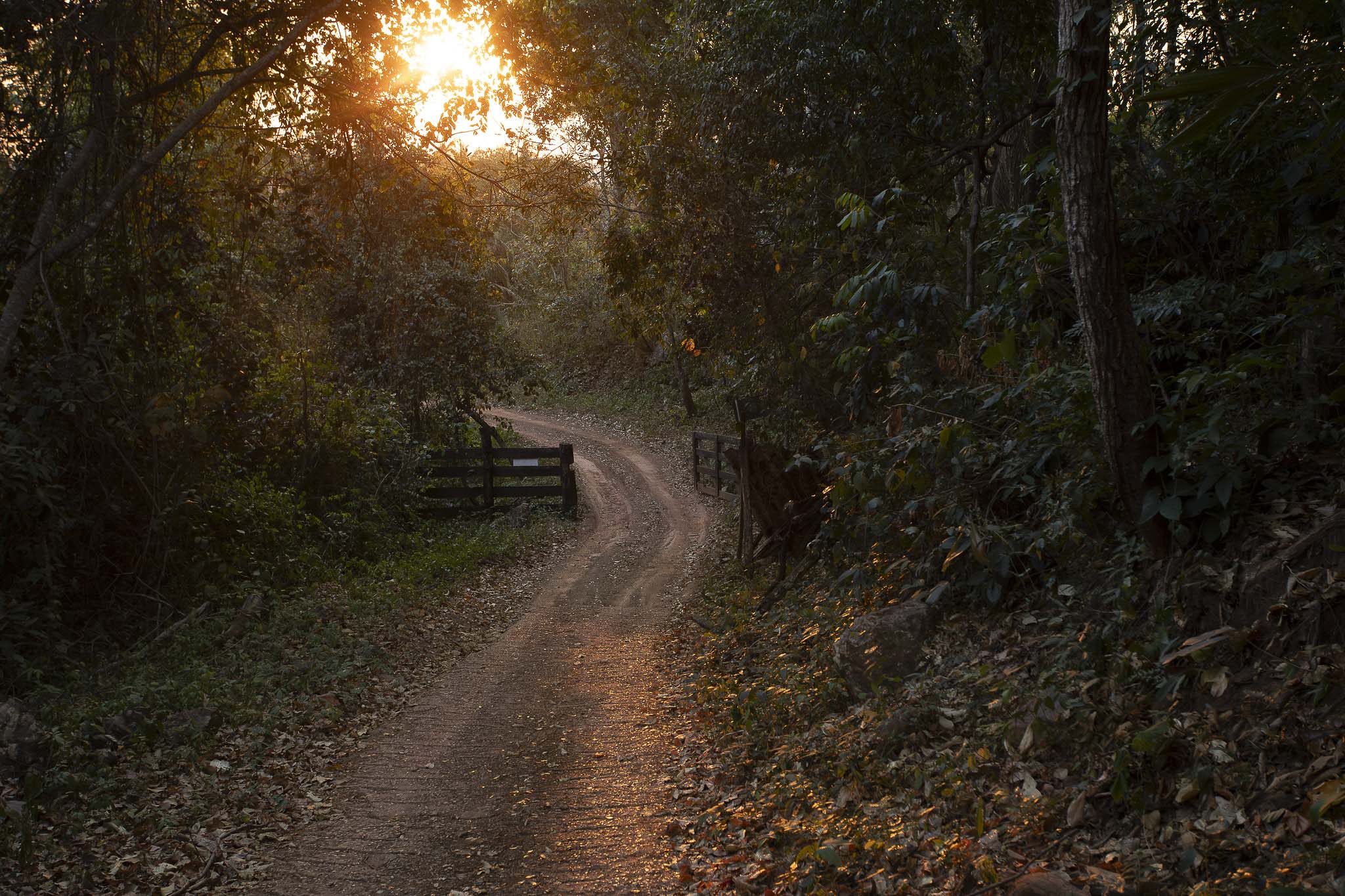 Imagem Expedição Chap Guim - ESEC Serra das Araras--63 da expedição de expedicoes/araras_25